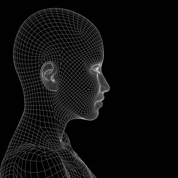 개념 개념 3d 와이어 프레임 인간의 여성 머리 기술, 사이보그, 디지털, 가상, 아바타, 모델, 과학, 소설, 미래에 대 한 비유로 검은색에 고립 된 메쉬 개요 — 스톡 사진