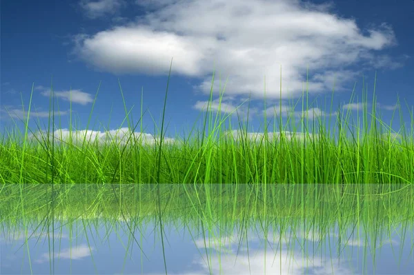 Hierba verde sobre un fondo de cielo azul y reflexión en agua ideal para diseños de temporada, verano, primavera, naturaleza o ecología — Foto de Stock
