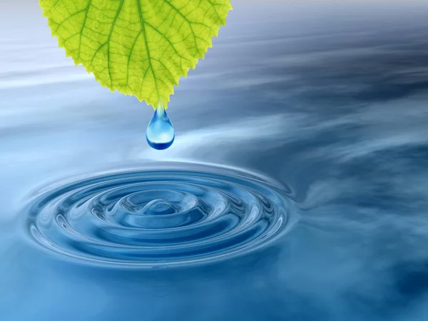 Gota conceptual de agua o rocío de alta resolución que cae de una hoja verde fresca sobre un agua azul clara haciendo olas. Es un concepto ideal para el verano, primavera, naturaleza o diseños naturales y también para la ecología — Foto de Stock