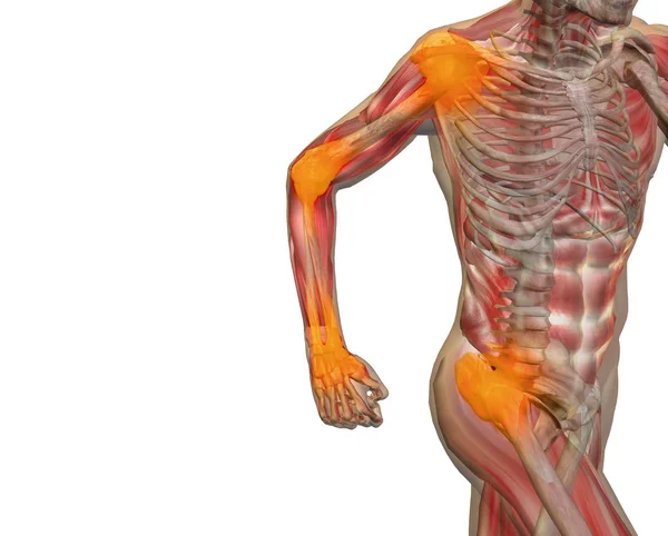 Konceptuell 3d illustration mänskliga mannen anatomi eller hälsa design, gemensamma eller artikulära smärta, värk eller skada på grå bakgrund för medicinsk, fitness, medicin, ben, vård, hurt, benskörhet, artrit kropp — Stockfoto