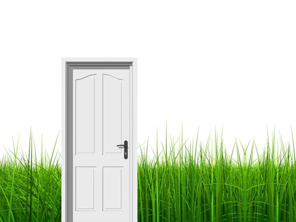 3D pojęciowy trawy z drzwiami — Zdjęcie stockowe
