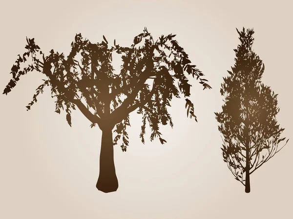 Conjunto de árvores marrons — Fotografia de Stock