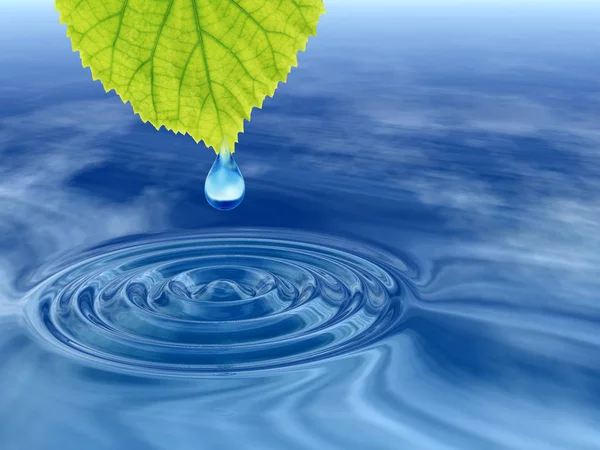 düşen bir yaprak çiy damla 