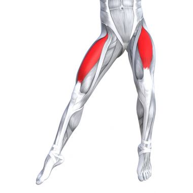 Uygun güçlü bacak anatomi çizimi