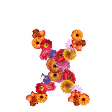 Çiçek yazı tipi tasarım