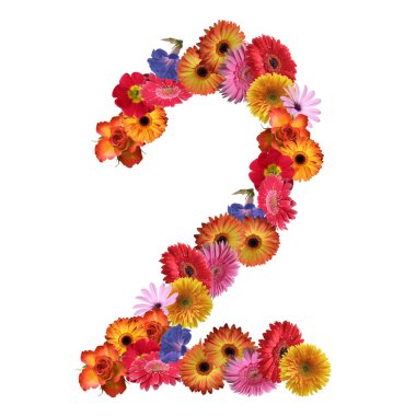 Çiçek yazı tipi tasarım