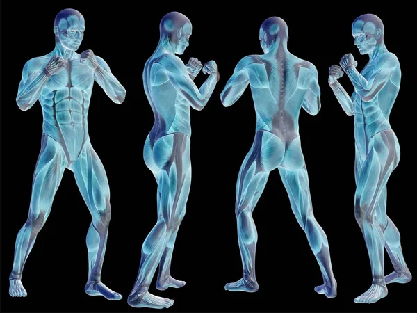 Concept of conceptuele mens of 3d anatomie lichaam van man met spier geïsoleerd op zwarte achtergrond als metafoor voor geneeskunde, sport, mannelijke, gespierd, medische, gezondheid, biologie of fitness groep of set — Stockfoto