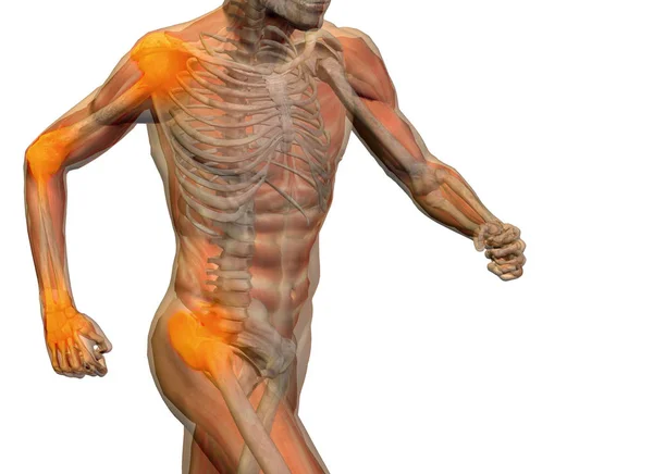 Fogalmi 3d illusztráció emberi férfi anatómia vagy egészségügyi design, közös vagy ízületi fájdalom, fájdalom vagy kár az egészségügyi alkalmasság, orvostudomány, csont, ellátás, fáj, csontritkulás, ízületi gyulladás test fehér alapon — Stock Fotó