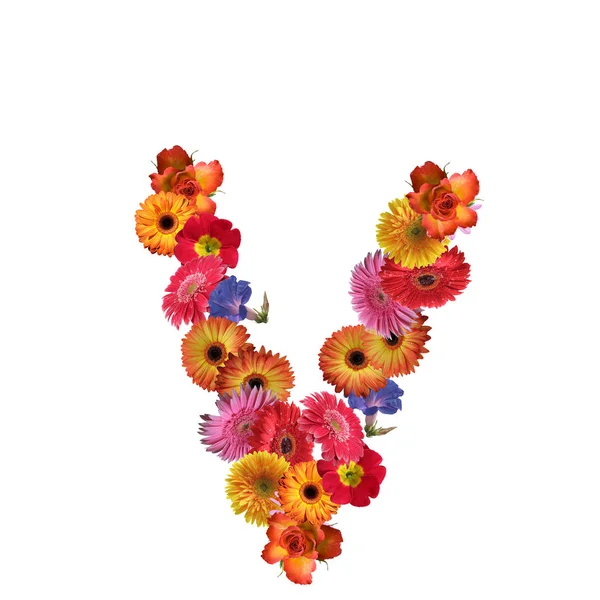 Çiçek yazı tipi tasarım