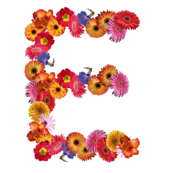 Çiçek yazı tipi tasarım