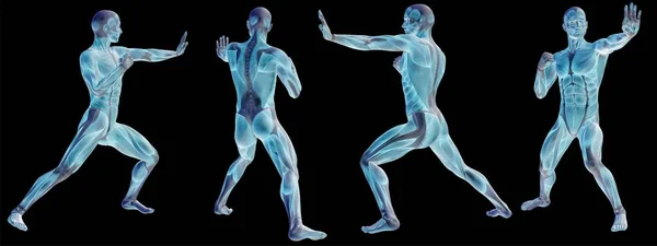 概念或概念的人或与肌肉分离在黑色背景上作为隐喻的医学、 体育、 男性、 肌肉、 医疗、 卫生、 生物学或健身组或组的三维解剖人体 — 图库照片
