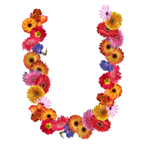 Floral γραμματοσειρά σχεδιασμού — Φωτογραφία Αρχείου