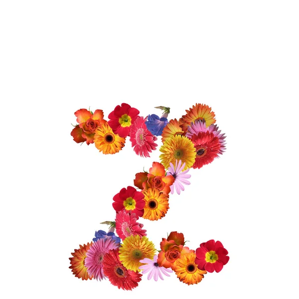 Çiçek yazı tipi tasarım