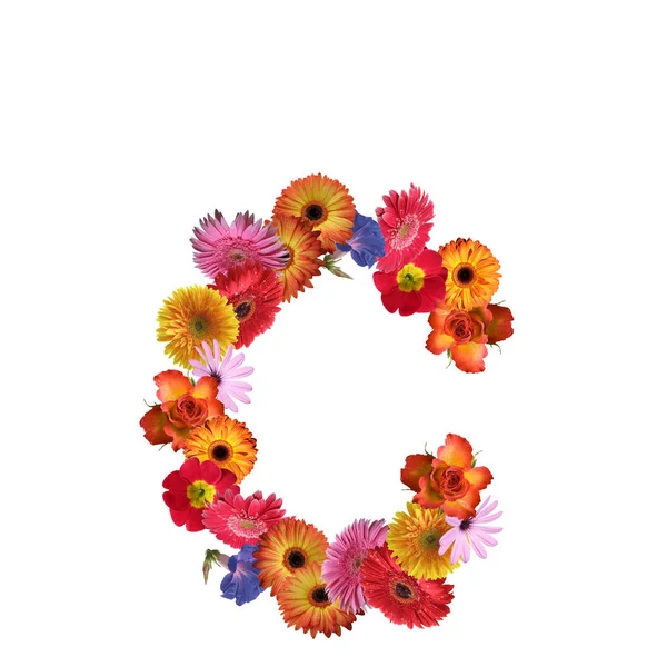 Diseño de fuente Floral — Foto de Stock