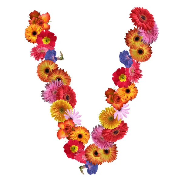 Desenho de fonte floral — Fotografia de Stock