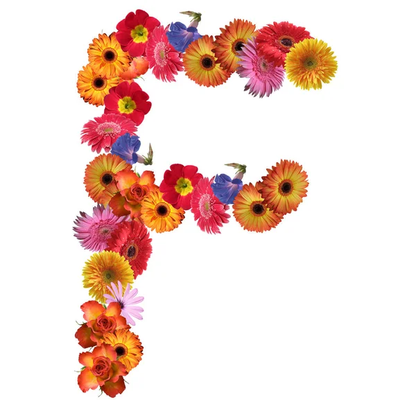 花卉的字体设计 — 图库照片
