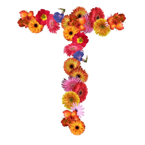 Diseño de fuente Floral — Foto de Stock