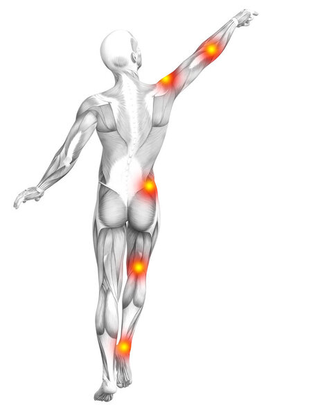 Muman muscle anatomy with red spots