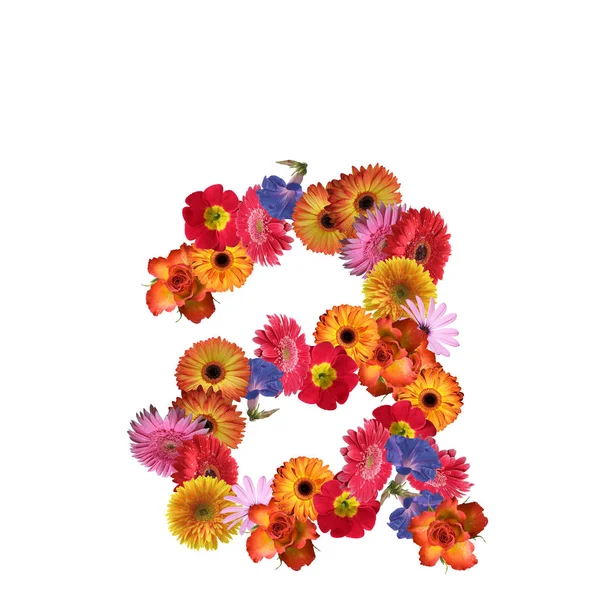 Diseño de fuente Floral — Foto de Stock