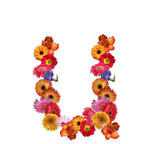 Çiçek yazı tipi tasarım