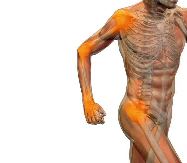概念性 3d 插图人类的人解剖或健康设计、 联合或关节疼痛、 疼痛或白色背景的医疗健身、 医学、 骨、 护理、 伤害、 骨质疏松、 关节炎身体上的损伤 — 图库照片