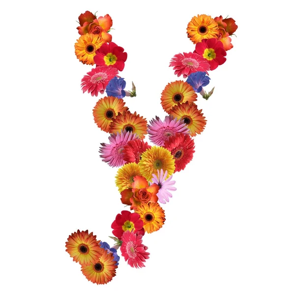 Çiçek yazı tipi tasarım