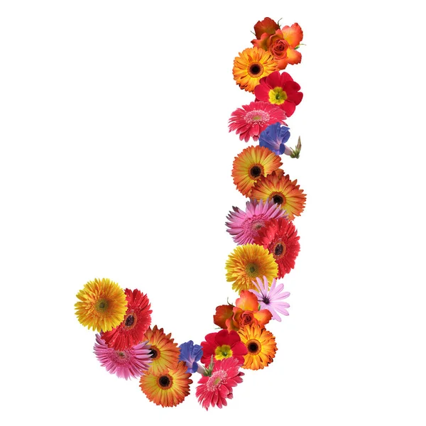 꽃 글꼴 디자인 — 스톡 사진