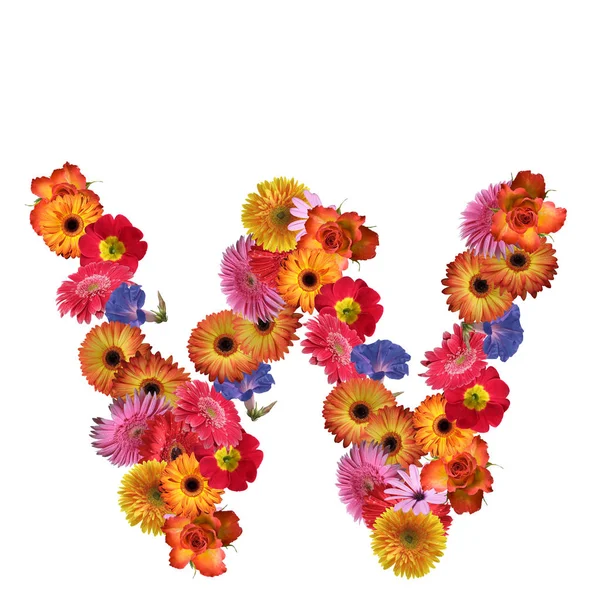 Floral font design — Stock Photo, Image