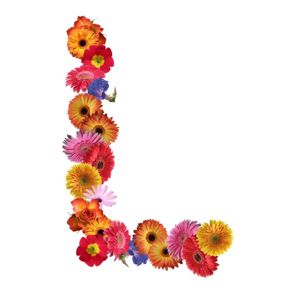 Çiçek yazı tipi tasarım