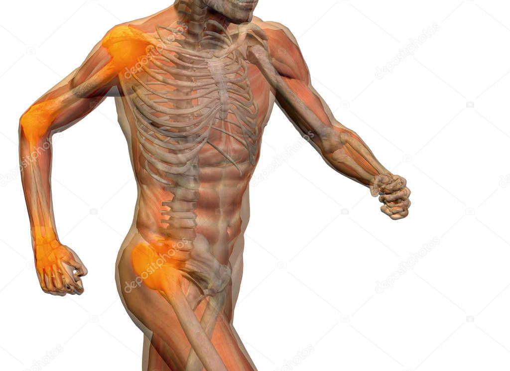 Conceptual 3D illustration human man anatomy or health design, joint or articular pain, ache or injury on white background for medical fitness, medicine, bone, care, hurt, osteoporosis, arthritis body