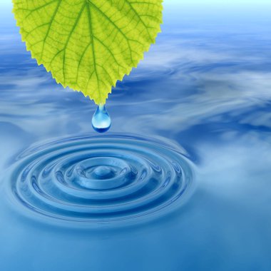 damla yaprak düşüyor