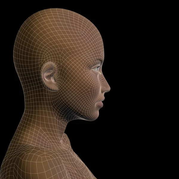 Conceptual 3D wireframe humano — Fotografia de Stock