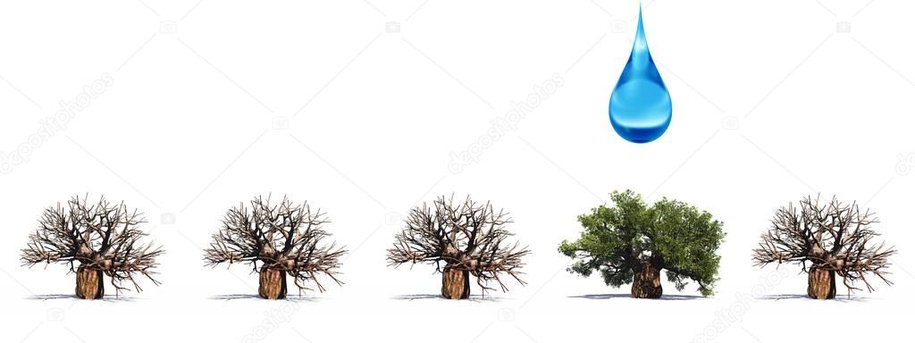 conceptual row of 3D trees without leafs and one green summer tree with falling water drop 