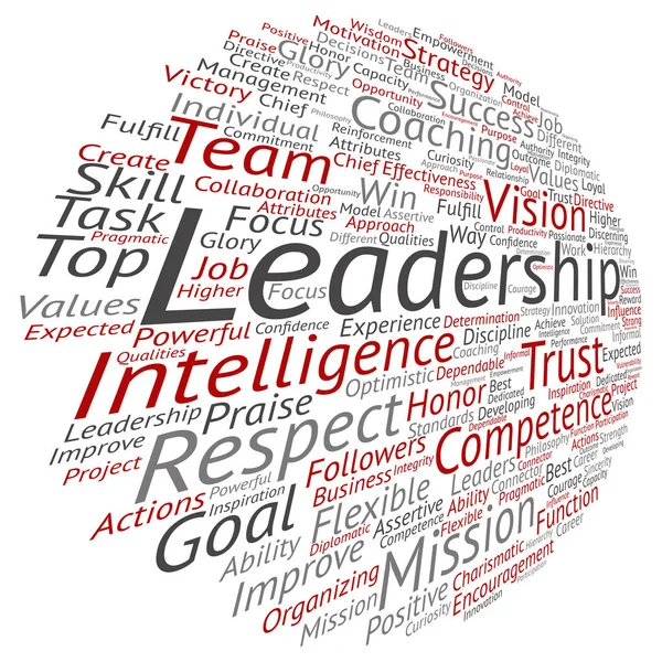 概念的なビジネスのリーダーシップの単語の雲 ベクトル イラスト — ストックベクタ