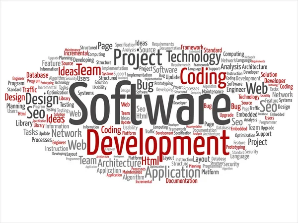 Progetto di sviluppo software codifica tecnologia astratto parola nube — Vettoriale Stock