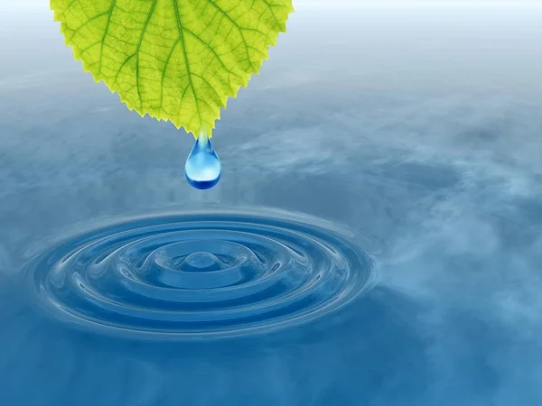 Концептуальная Капля Росы Падает Зеленого Свежего Листа Голубую Чистую Воду — стоковое фото