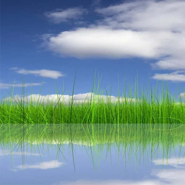 Hierba Verde Cielo Azul Reflejándose Superficie Del Agua — Foto de Stock