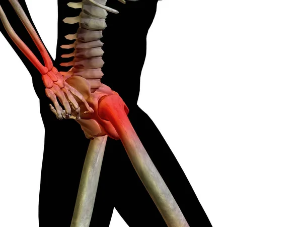 Joints  articular pain — Stock Photo, Image