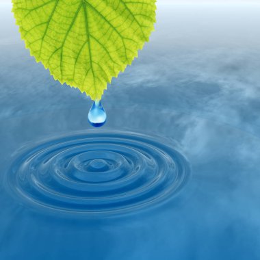 taze yaprak yeşil düşen bırak