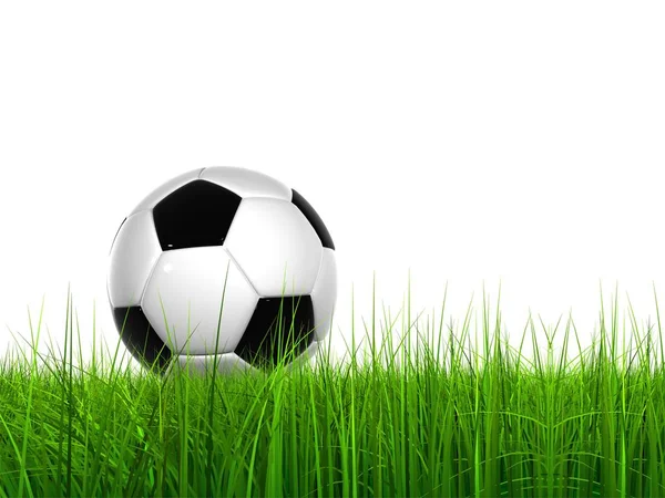 Grass isolated on white background with  ball — Stock Photo, Image