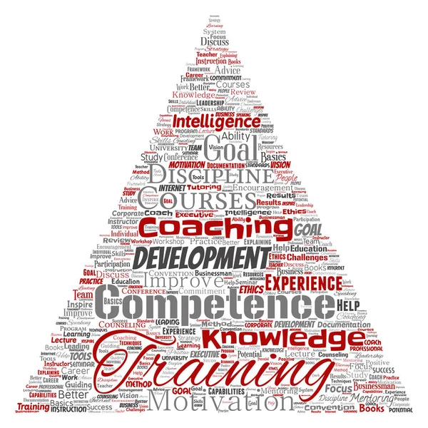 Treinamento Conceitual Vetorial Coaching Aprendizagem Estudo Nuvem Palavras Seta Triângulo — Vetor de Stock