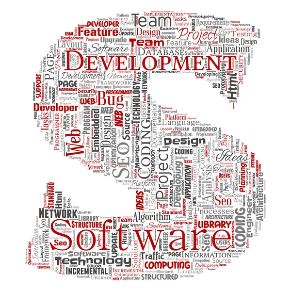 Progetto Sviluppo Software Concettuale Codifica Tecnologia Lettera Font Parola Nube — Foto Stock