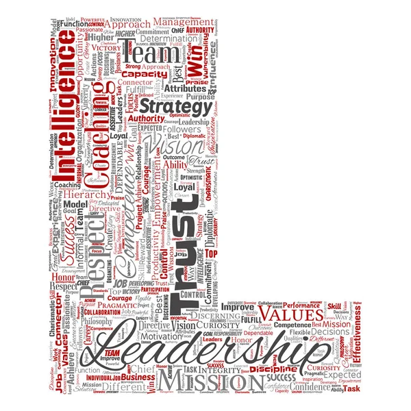 Entreprise Stratégie Leadership Gestion Lettre Valeur Police — Image vectorielle