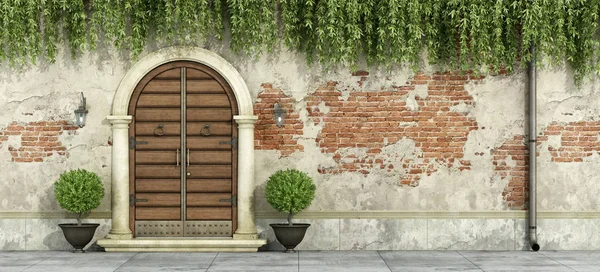 Grunge fasada z drzwi drewniane — Zdjęcie stockowe