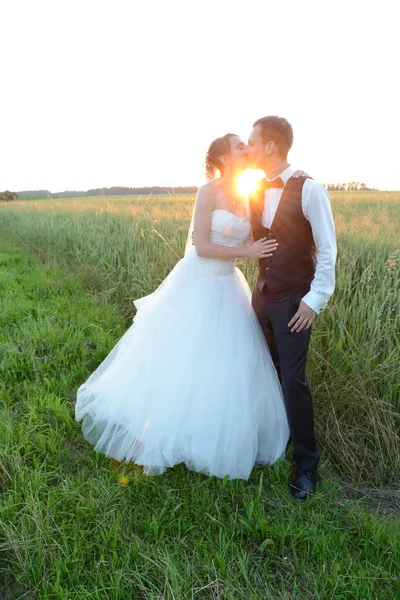 Beijar casal de casamento Fotos De Bancos De Imagens Sem Royalties