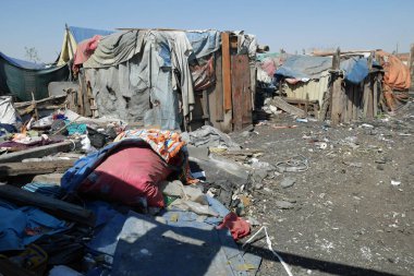 Yaşayan bir çöplüğü