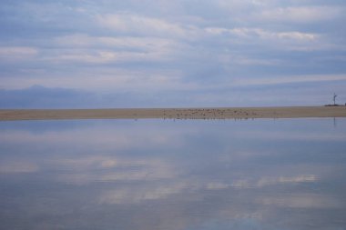 Okyanus Beach'te akşam