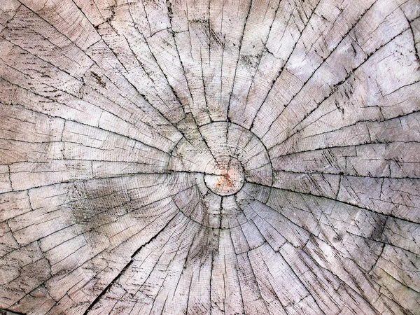 Close-up textura de corte de madeira com armação em chamas — Fotografia de Stock