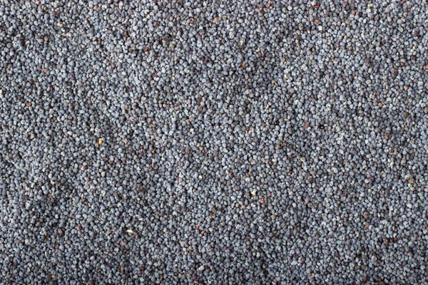Arka plan, doğal baharat doku olarak haşhaş tohumu baharat — Stok fotoğraf