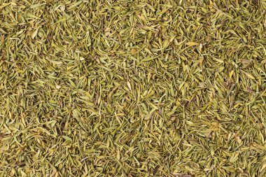 arka plan, doğal baharat doku olarak kurutulmuş kekik baharat